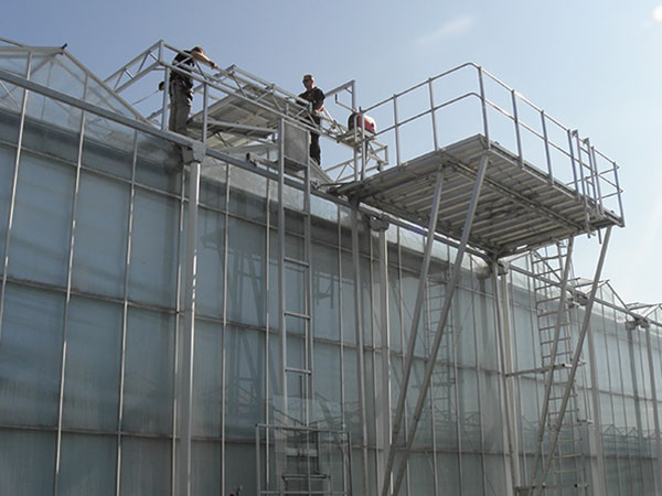 Repair Greenhouse Platform