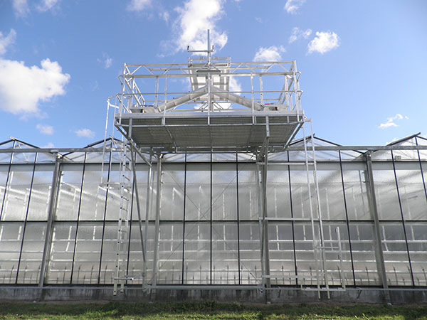 Repair Greenhouse Platform